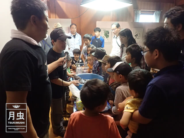 夏休みに家族で楽しめるイベント!世界のクワガタ・カブト大集合のご報告