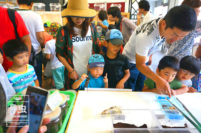 夏休みの楽しいイベント!家族で盛り上がる事ができました。