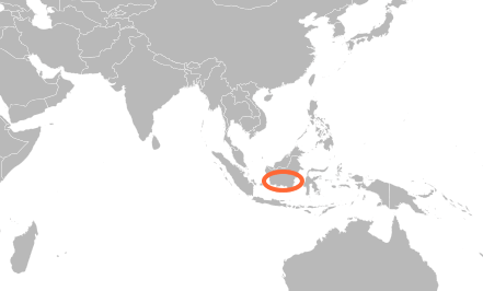 C. tarandus-map
