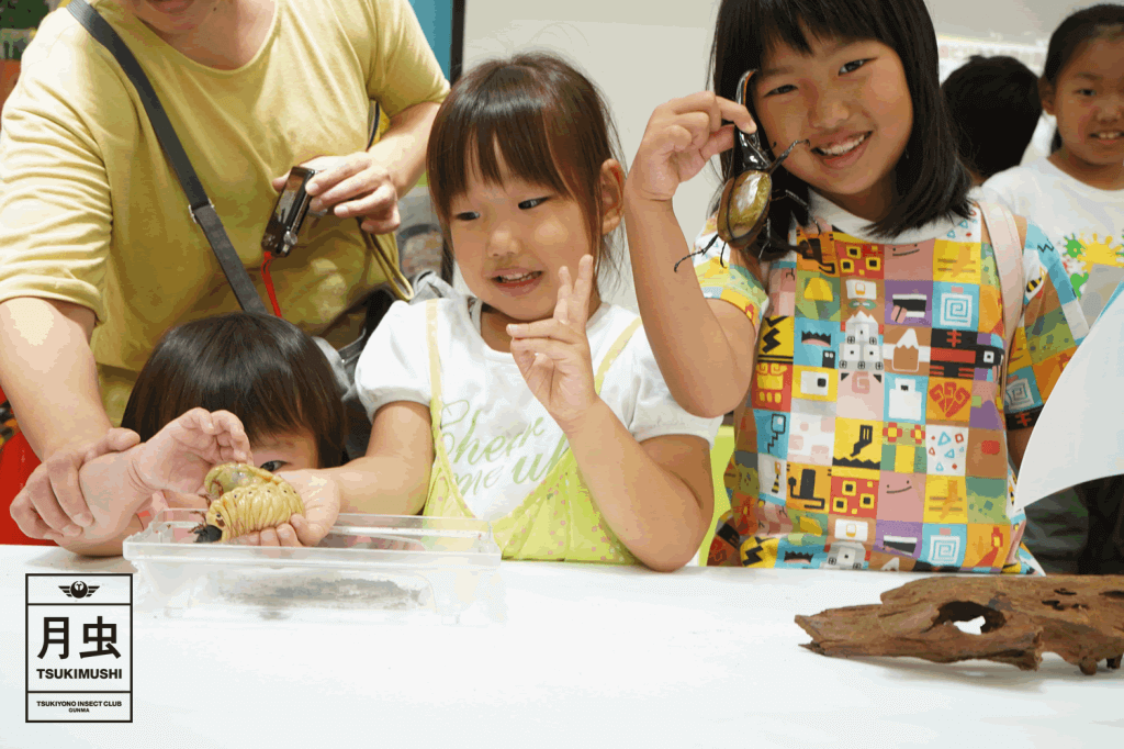 クワガタとカブトのイベントinセキチュー高崎矢中店2019